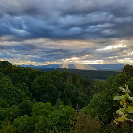 Adorable In The Middle Of Vineyards Apartmán *