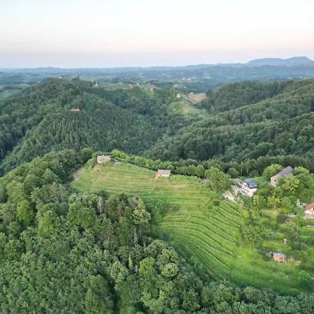 Adorable In The Middle Of Vineyards *