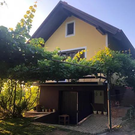 Adorable In The Middle Of Vineyards Apartmán Ptujska Gora