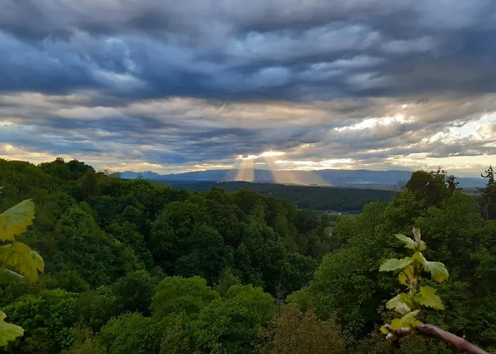Adorable In The Middle Of Vineyards شقة *