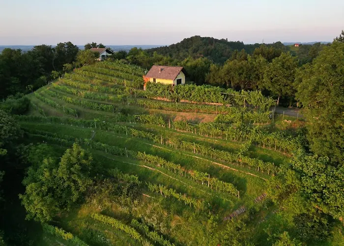 شقة Adorable In The Middle Of Vineyards *