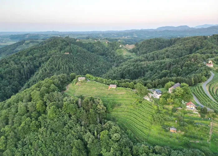 Adorable In The Middle Of Vineyards *
