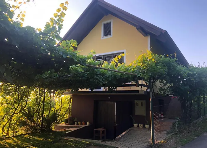 Adorable In The Middle Of Vineyards شقة Ptujska Gora